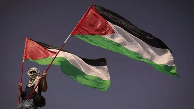 Ilustrasi Demonstran Palestina
