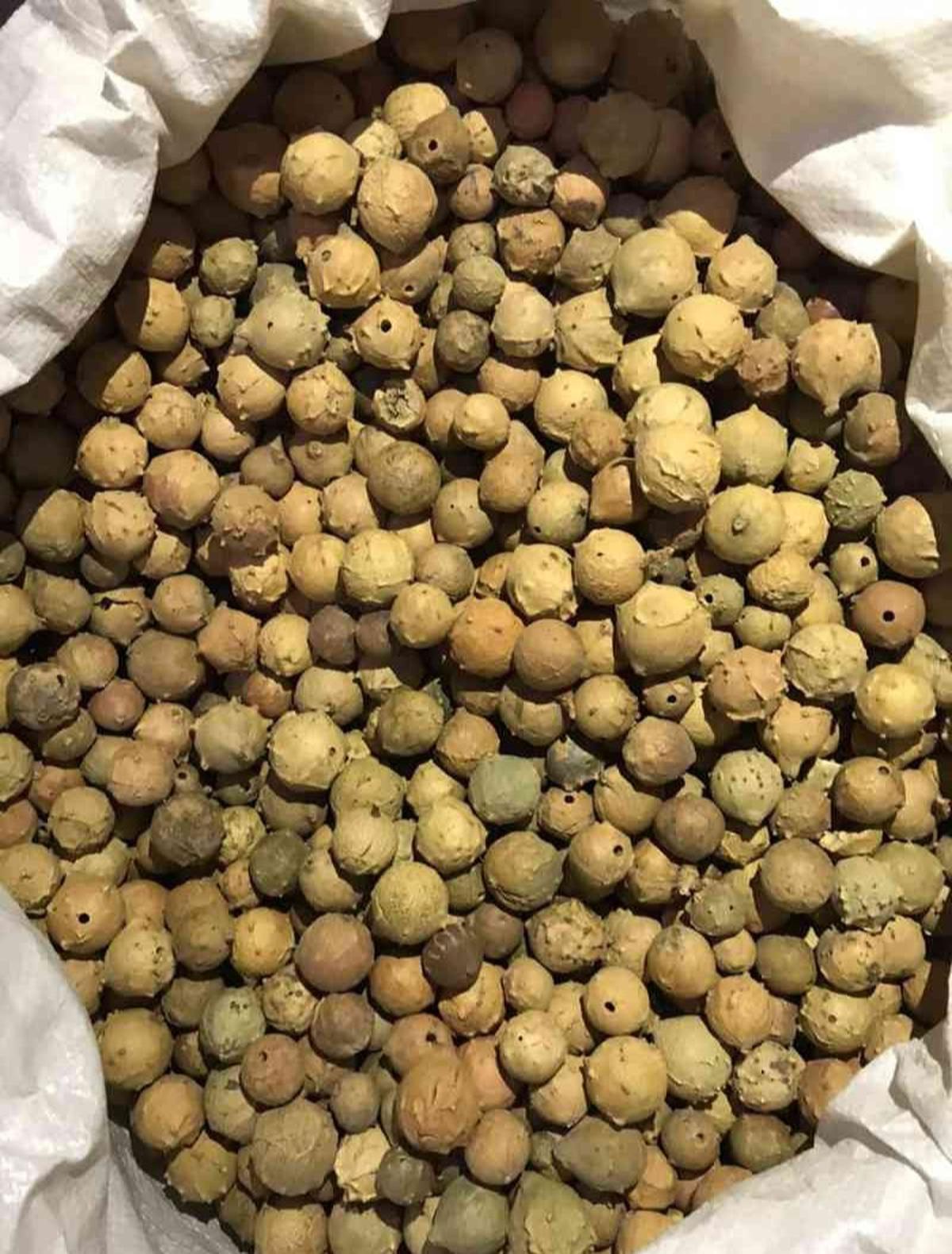 Manjakani