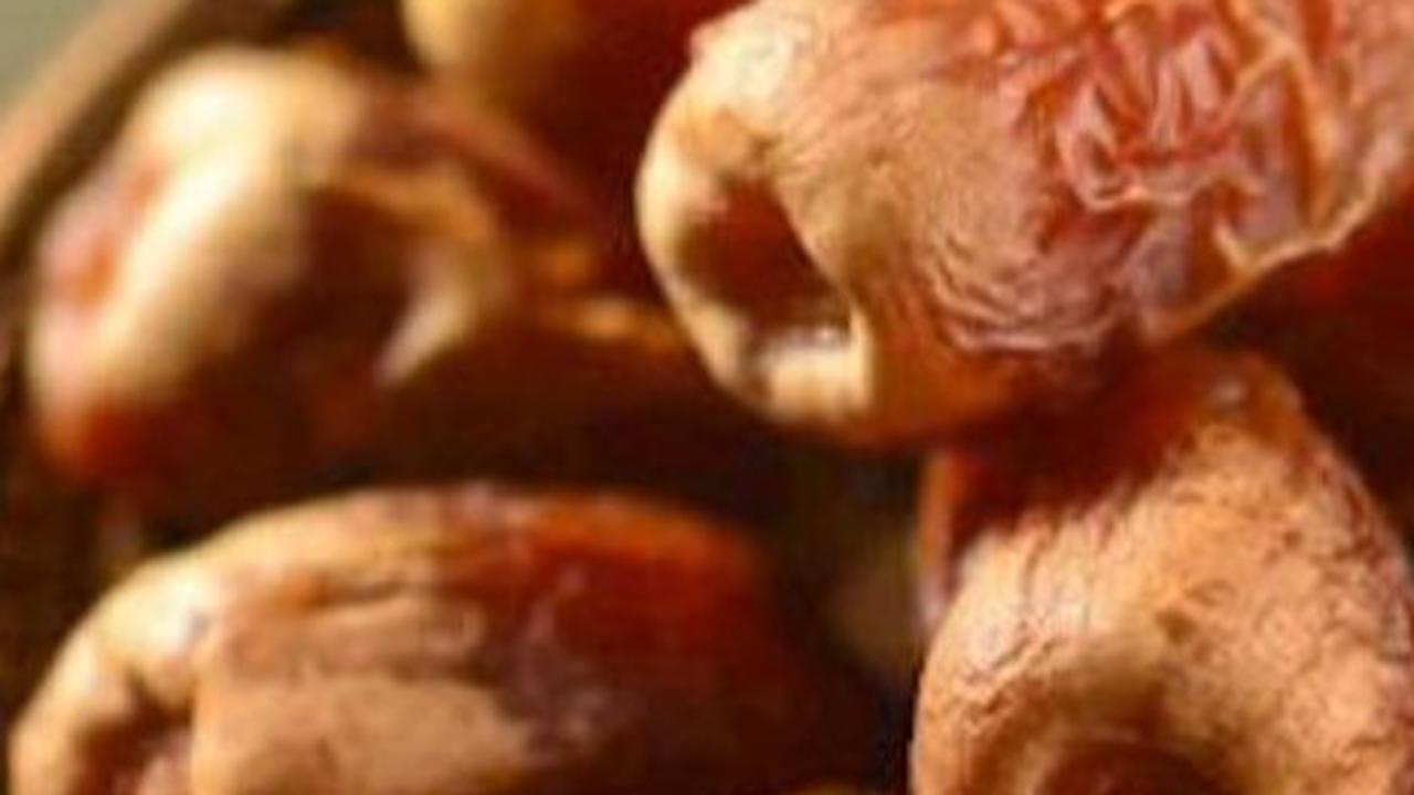 Kurma Sagai