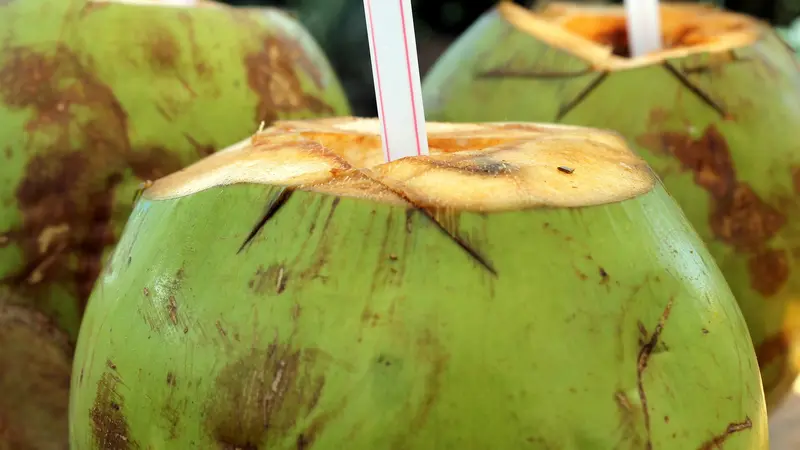 Manfaat air kelapa bagi kesehatan tubuh, dari mencegah kanker hingga atasi diabetes (Image by Adriano Gadini from Pixabay)