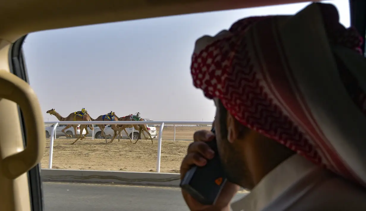 Pemilik mengikuti unta balapnya dari mobil pada Festival Unta Putra Mahkota di Kota Taif, Arab Saudi, Rabu (11/8/2021). Selain mempromosikan warisan balap unta Arab Saudi, festival ini juga berupaya untuk mendukung pariwisata dan pembangunan ekonomi. (Amer HILABI/AFP)
