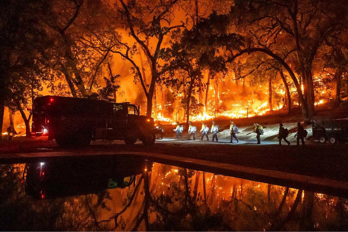 FOTO: Ngerinya Kebakaran Hutan di Napa County, Ribuan Warga California Dievakuasi
