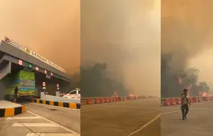 Viral Kabut Asap Kebakaran Hutan Selimuti Tol Lampung
