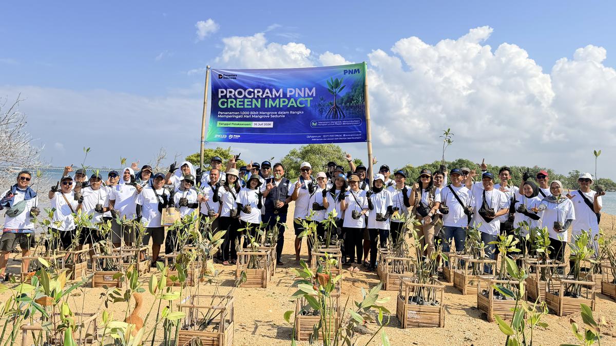 Tanam 22 Ribu Mangrove, PNM Dorong Kelestarian Lingkungan Sekaligus Ekonomi Pesisir