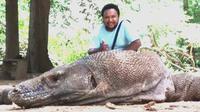 Salah satu wisatawan saat berkunjung ke Pulau Komodo, Labuan Bajo, Kabupaten Manggarai Barat, NTT (Liputan6.com/Ola Keda)
