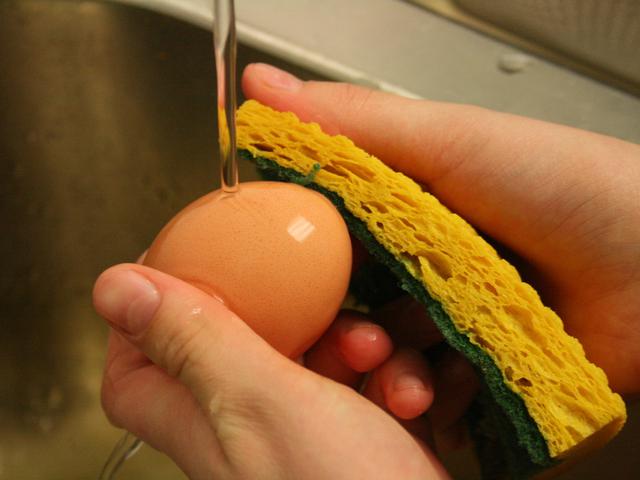 Cuci Cangkang Terlebih Dulu Sebelum Makan Telur Health Liputan6 Com