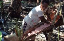 Kuliner Papua Paling Populer Berbahan Sagu, Bisa Dibikin di Rumah