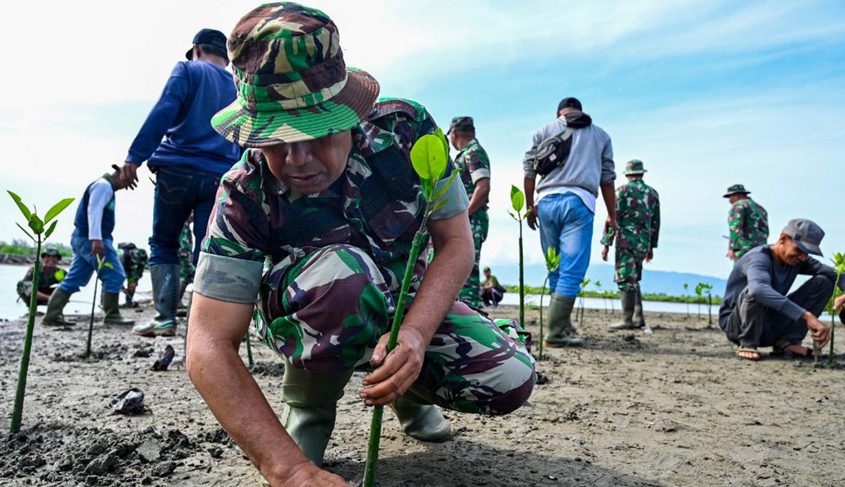 Tentara dan nelayan menanam benih mangrove sebagai bagian dari program lingkungan hidup yang dipimpin militer di pantai pesisir Banda Aceh, Aceh, Indonesia, Rabu (18/10/2023). (CHAIDEER MAHYUDDIN/AFP)