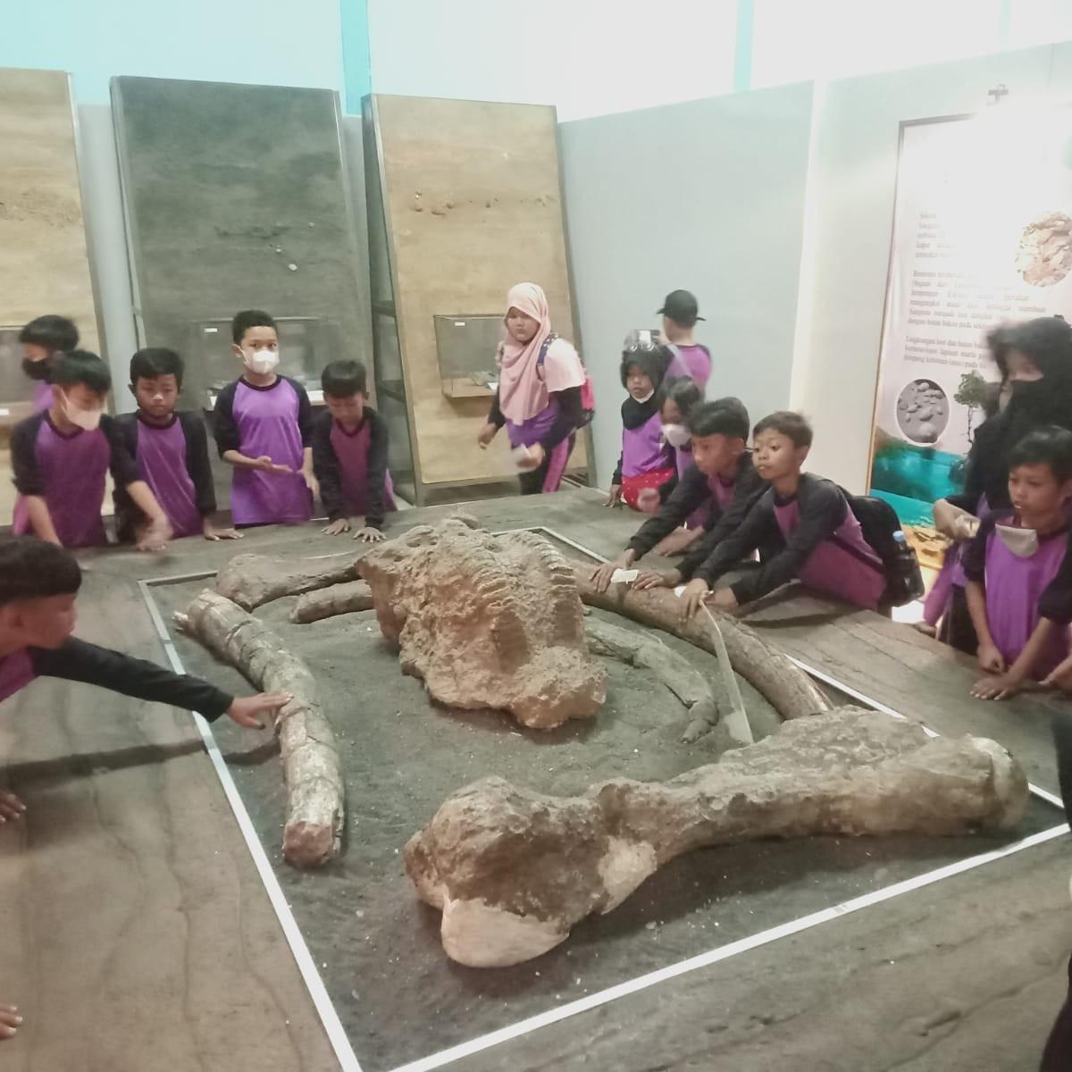 Fosil Gajah Purba Sangiran