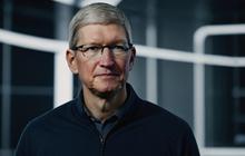 Tim Cook Jadi Sorotan, iPhone 16 Baru Dirilis Malah Sahamnya Dijual
