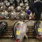 Karyawan toko memeriksa kualitas dari tuna segar yang berada di pasar ikan Tsukiji sebelum lelang Tahun Baru di Tokyo, Jepang, Selasa (5/1).  Pada 2013, Kimura mendapatkan tuna sirip biru seberat 222 kg dengan harga Rp 17,3 miliar. (REUTERS/Toru Hanai)