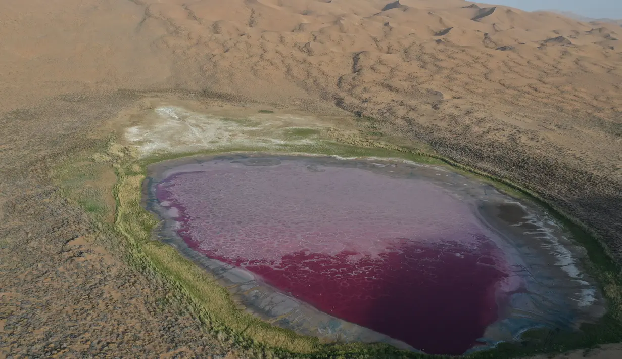 Foto dari udara yang diabadikan saat malam hari pada 30 Mei 2020 ini menunjukkan Danau Daghtu di Gurun Badain Jaran, Daerah Otonom Mongolia Dalam, China utara. Jauh di dalam Gurun Badain Jaran di Wilayah Alxa Right, terdapat sebuah danau berwarna merah muda yang dinamai Daghtu. (Xinhua/Xu Qin)