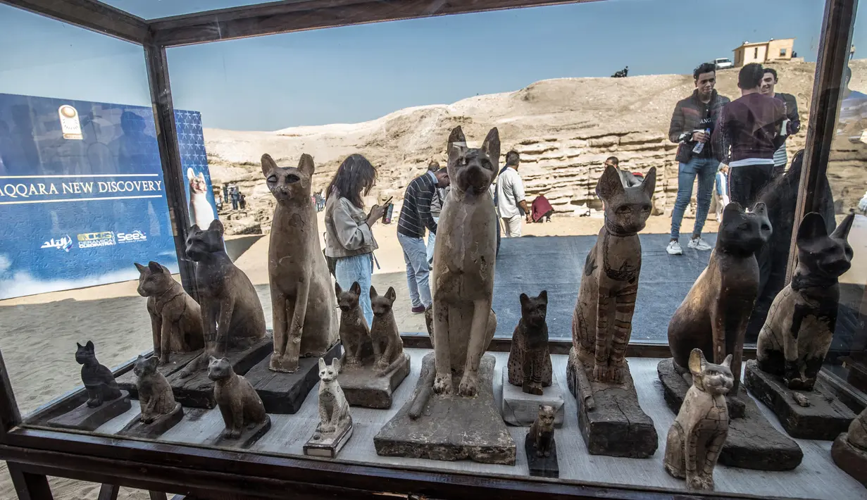 Patung-patung kucing ditampilkan setelah serangkaian penemuan langka di Saqqara, selatan Kairo, Sabtu (23/11/2019). Mumi hewan seperti anak singa, kucing, kobra, buaya, hingga kumbang ditemukan oleh tim arkeologi Mesir, termasuk 75 patung kayu dan perunggu dari masa silam. (Khaled DESOUKI/AFP)