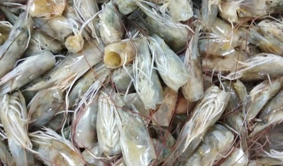 1.&nbsp;Kepala Udang Segar: Kekayaan Dalam Kulit dan Kepala