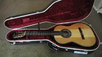 Tips Memilih Gitar Untuk Pemula 