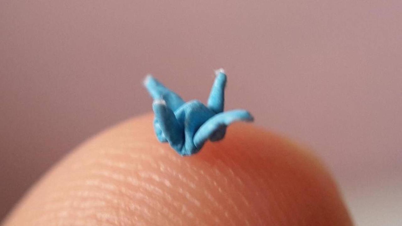 Sukses Buat Origami Ukuran Super Kecil, Momen Wanita yang Berhasil Raih Rekor Muri Ini Curi Perhatian