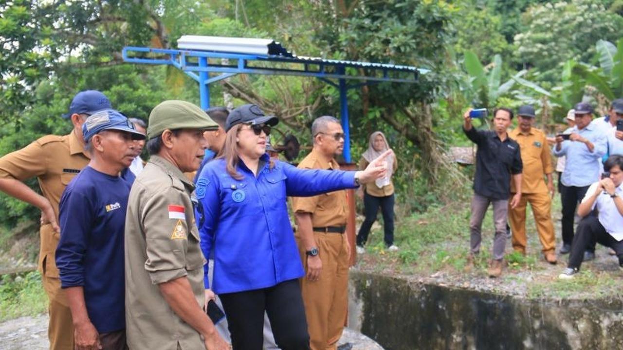 Tahukah Anda? Pemkab Donggala Targetkan 800 Hektare Sawah Baru, Perkuat Pertanian Donggala demi Ketahanan Pangan