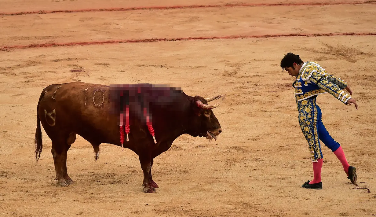 Matador Spanyol Cayetano menantang sekor banteng saat bertarung dalam Festival San Fermin, Pamplona, Spanyol, Jumat (12/7/2019). (AP Photo/Alvaro Barrientos)