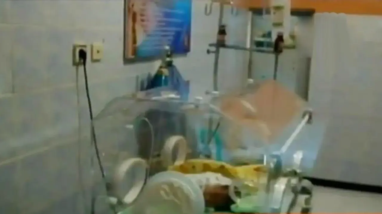 VIDEO: Bayi Kembar Siam di Temanggung Ini Butuh Dana Operasi