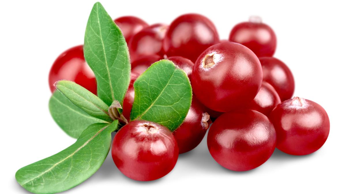 Manfaat Cranberry untuk Kulit dan Rambut yang Jarang Diketahui