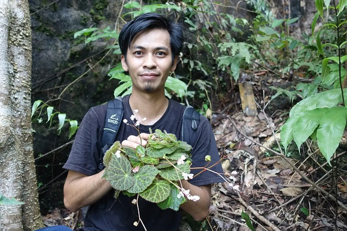 Spesies Baru Begonia