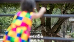 Seorang anak perempuan mengunjungi Khao Kheow Open Zoo di Provinsi Chonburi, Thailand, Selasa (16/6/2020. Enam kebun binatang di Thailand akan kembali dibuka bagi pengunjung secara gratis mulai 15 hingga 30 Juni. (Xinhua/Zhang Keren)