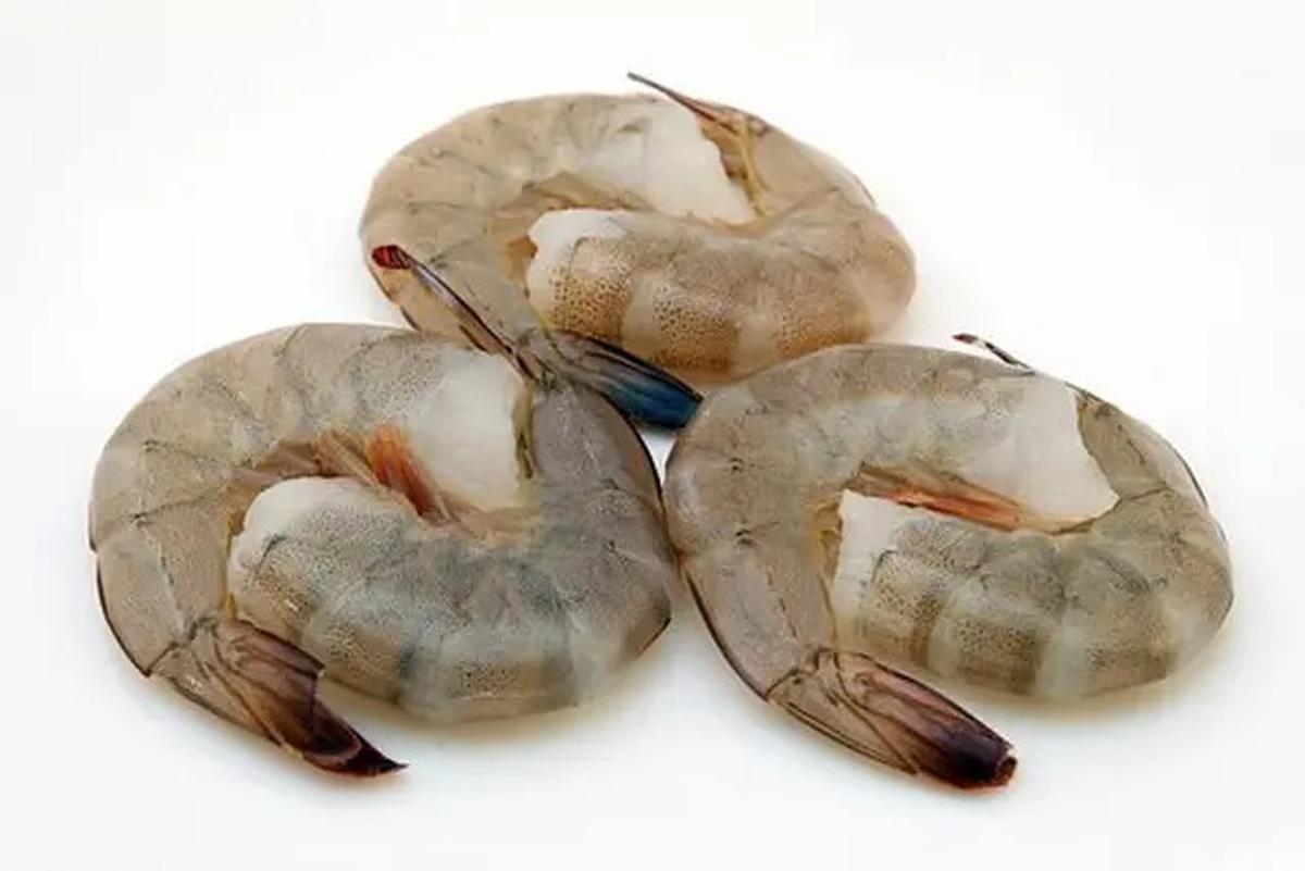 Rahasia Penyimpanan Udang agar Tetap Segar hingga Satu Bulan