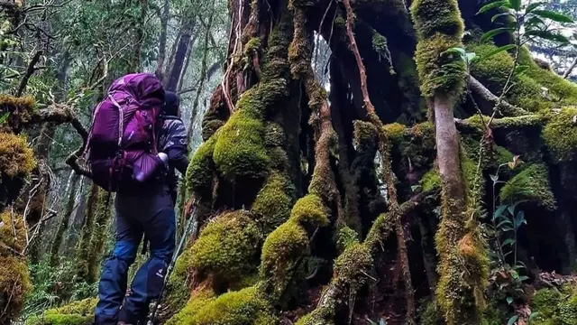 Seorang pendaki berada di Gunung Boliyohuto di Gorontalo.