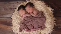 Ilustrasi anak, bayi kembar. (Gambar oleh Karen Warfel dari Pixabay)