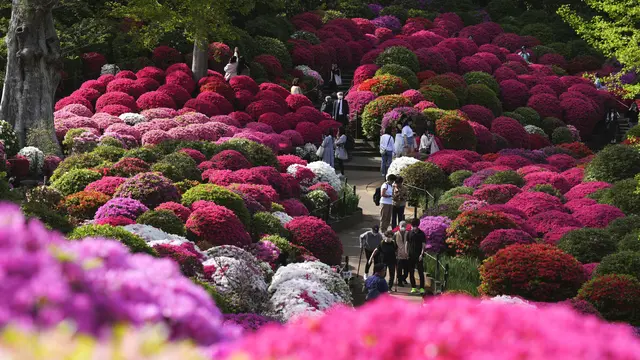 Spring Quotes from Literature