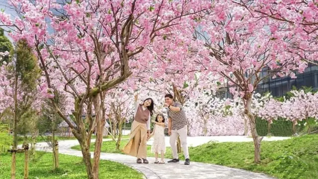 Sakura Park di Mini Mania