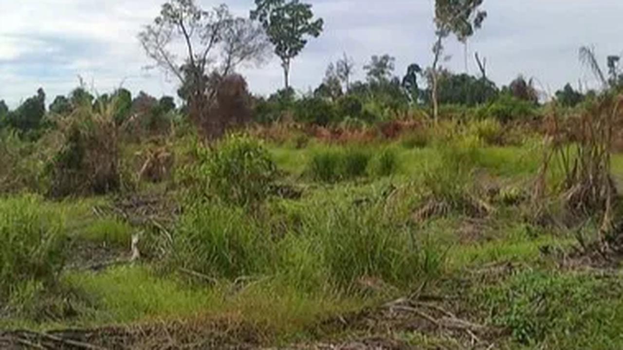 Tahap Urus Sertifikat