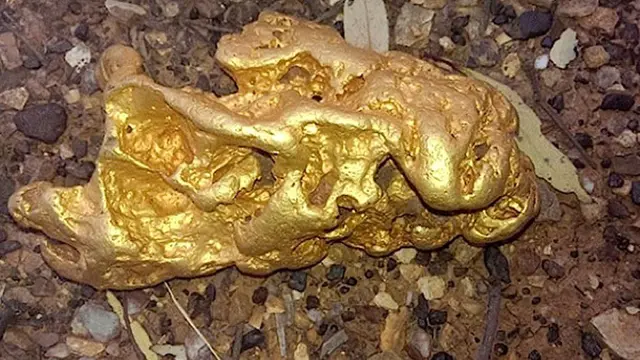Beruntung Pemburu Harta Karun Temukan Bongkahan Emas Senilai Rp 1,45 Miliar