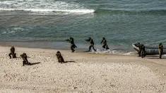 Pejuang bersenjata turun dari perahu karet di pantai selama latihan militer di Kota Gaza (29/12/2020).  Untuk pertama kalinya, Hamas bersama sayap militer kelompok-kelompok perlawanan Palestina lainnya menggelar latihan perang gabungan. (AFP/Mohammed Abed)