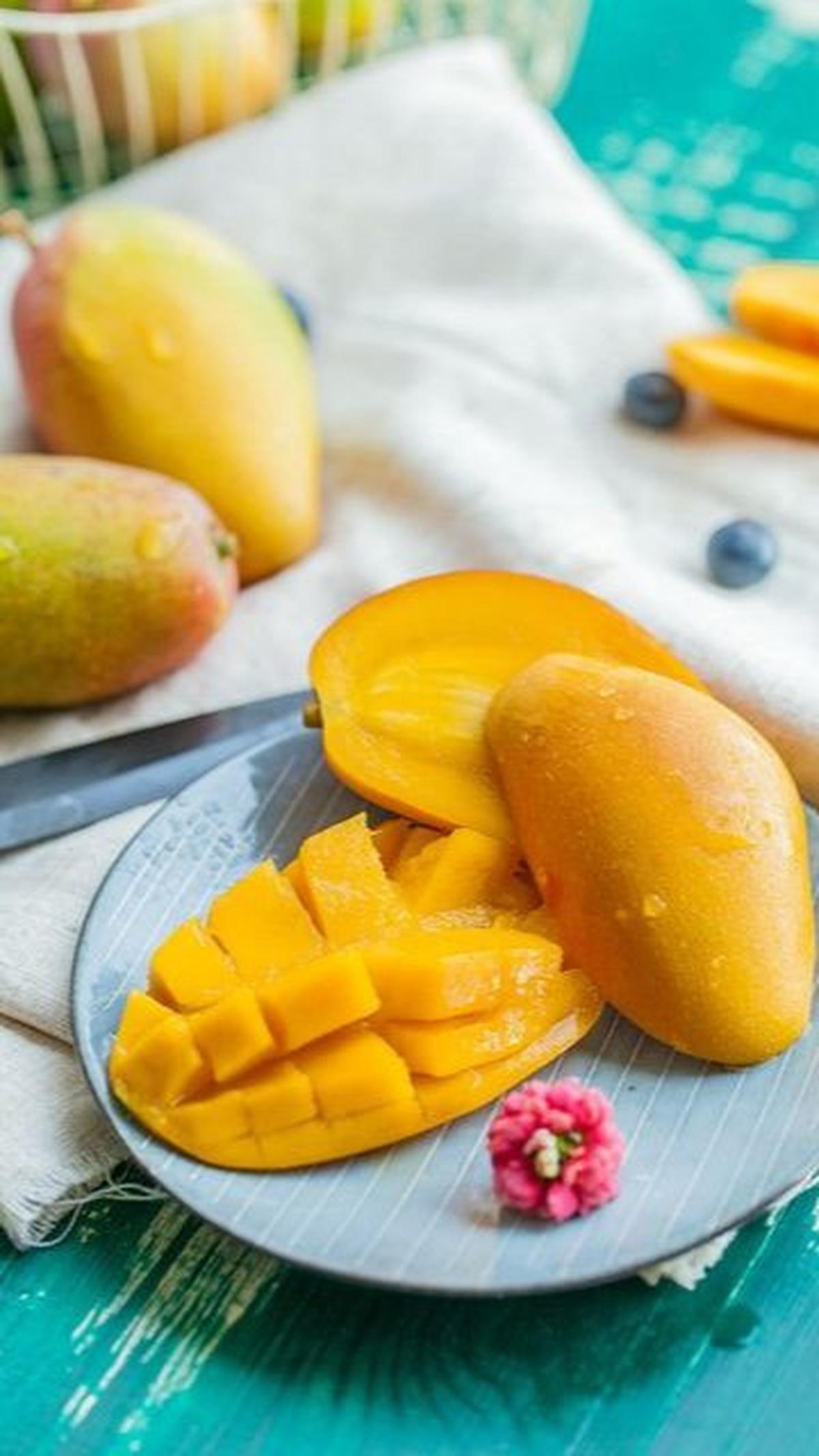 <b>Kandungan Nutrisi Buah Mangga</b><br>