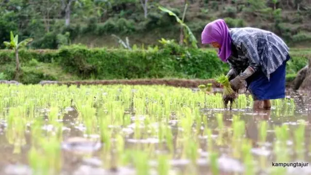 Kampung Tajur Purwakarta