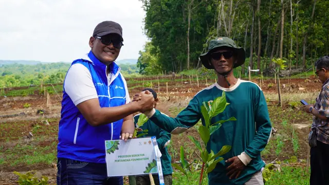 Penanaman Pohon