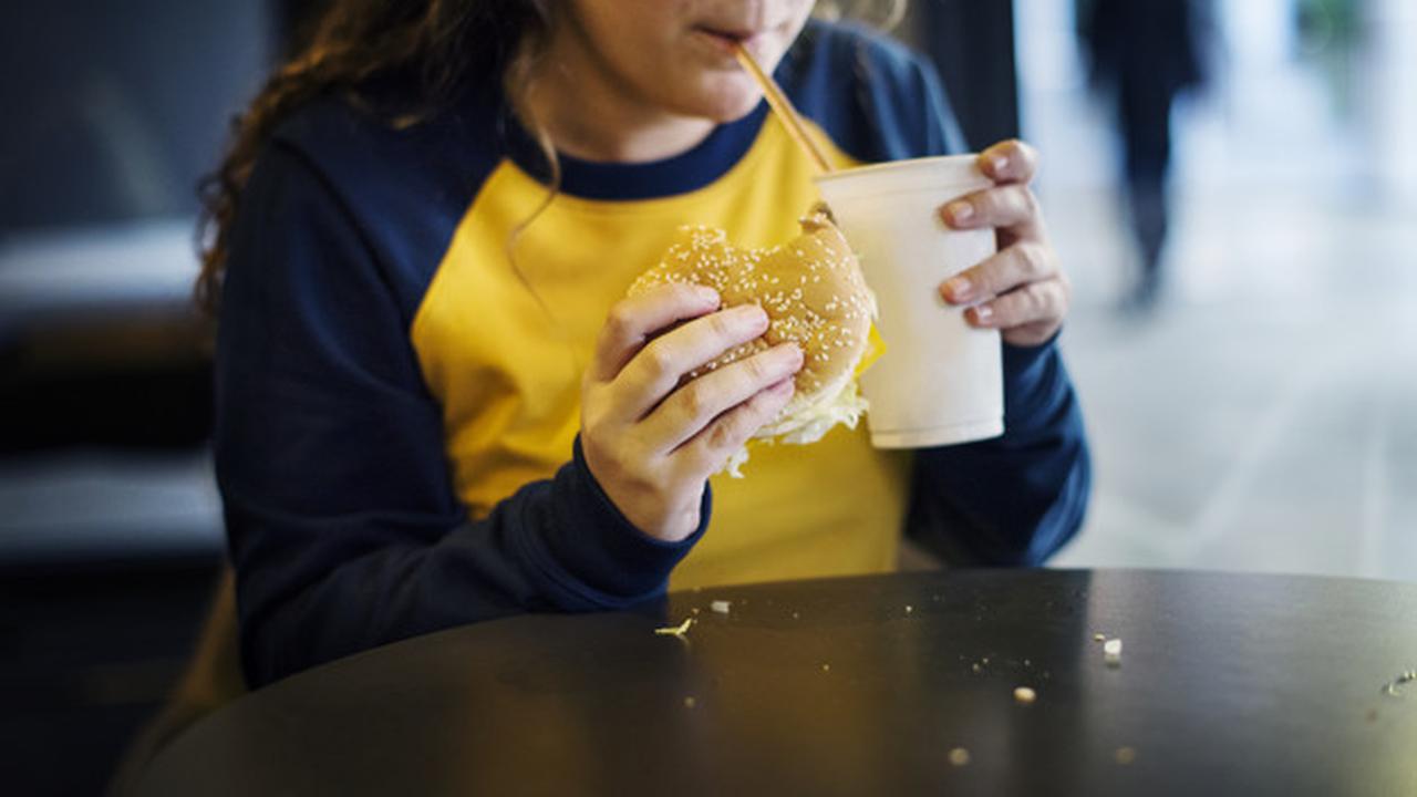 Kolesterol dan Asam Urat