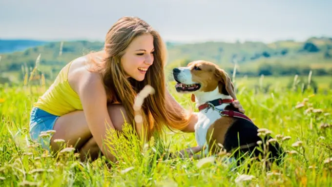 Copyright by shutterstock.com