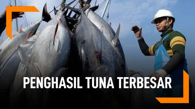 Indonesia Jadi Negara Terbesar Penghasil Tuna di Dunia