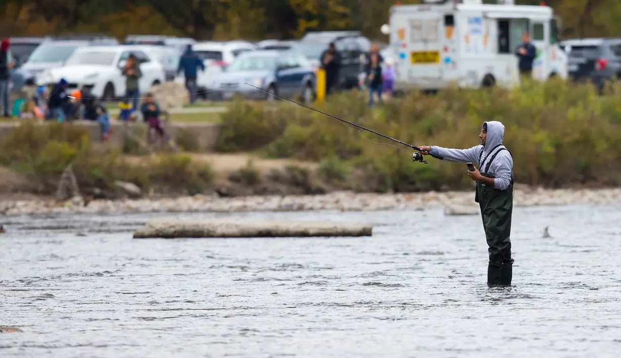 Seorang pria memancing ikan salmon yang tengah bermigrasi ke lokasi bertelur di Sungai Humber di Toronto, Kanada, 18 Oktober 2020. Setiap musim gugur, ribuan ikan salmon di banyak sungai di Ontario berenang menuju ke hulu untuk bertelur, menarik perhatian warga juga para pemancing (Xinhua/Zou Zheng)