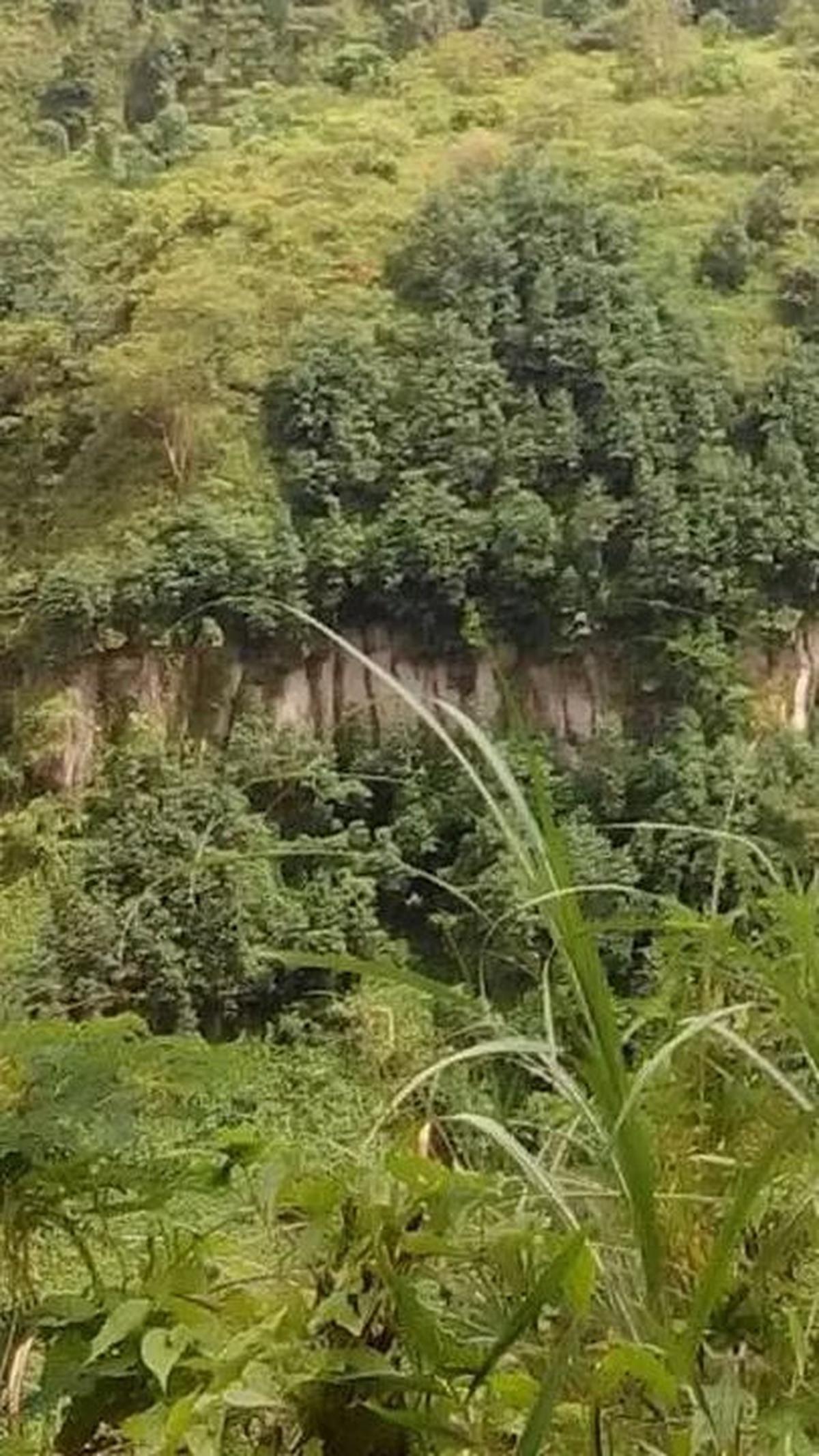 <b>Tempat Wisata di Kediri yang Murah Meriah Tema Perbukitan</b>