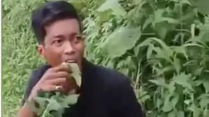 Momen Pencuri Dipaksa Warga Makan Daun Pepaya: Pahit Bang