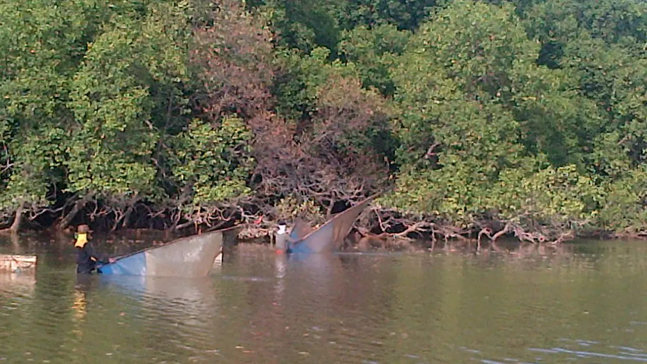 Mangrove Batam Rusak