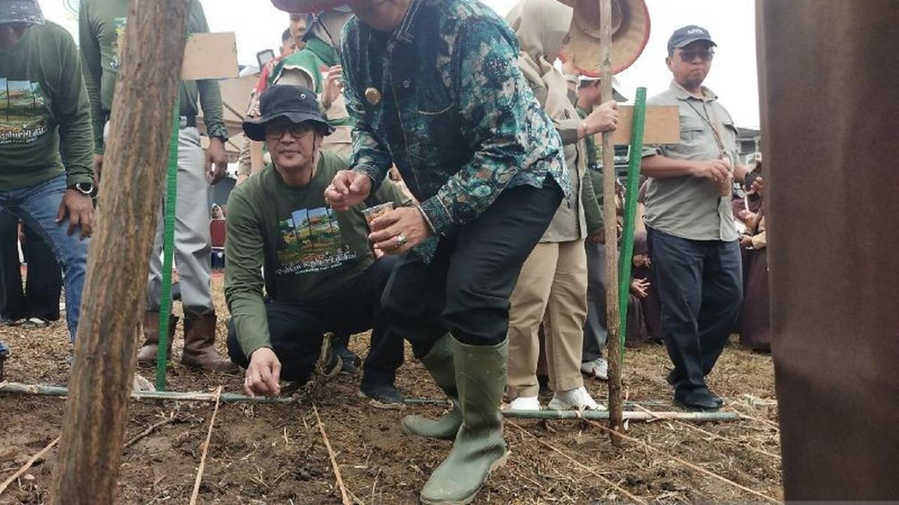 Pemkot Jambi Optimalkan Lahan Tidur Dukung Ketahanan Pangan Nasional