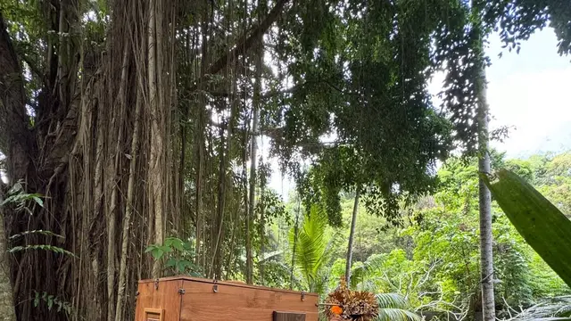 Pemotretan Estetik Tara Basro-Daniel Adnan Pakai Kamera Kuno, Pancarkan  Aura Raja-Ratu dalam Balutan Busana Bali Klasik