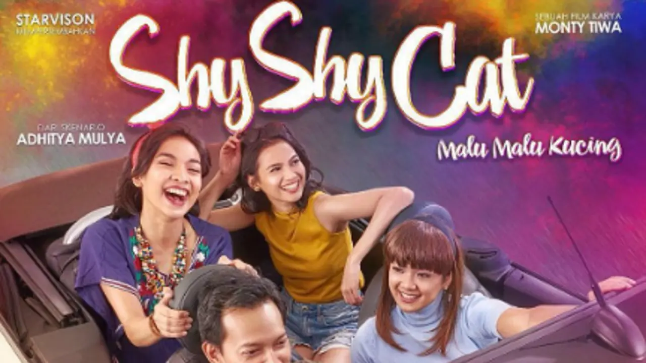 [Bintang] Shy Shy Cat