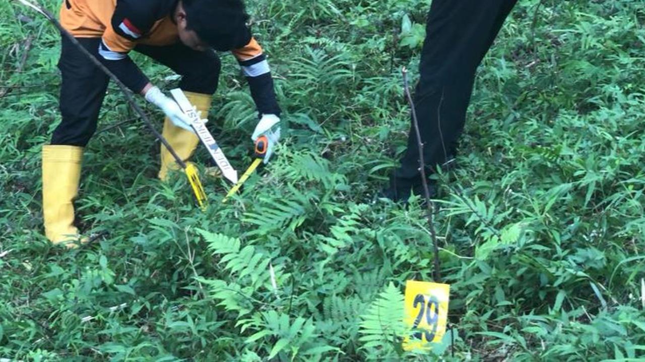 Kronologi Temuan Potongan Tubuh Berceceran Korban Mutilasi