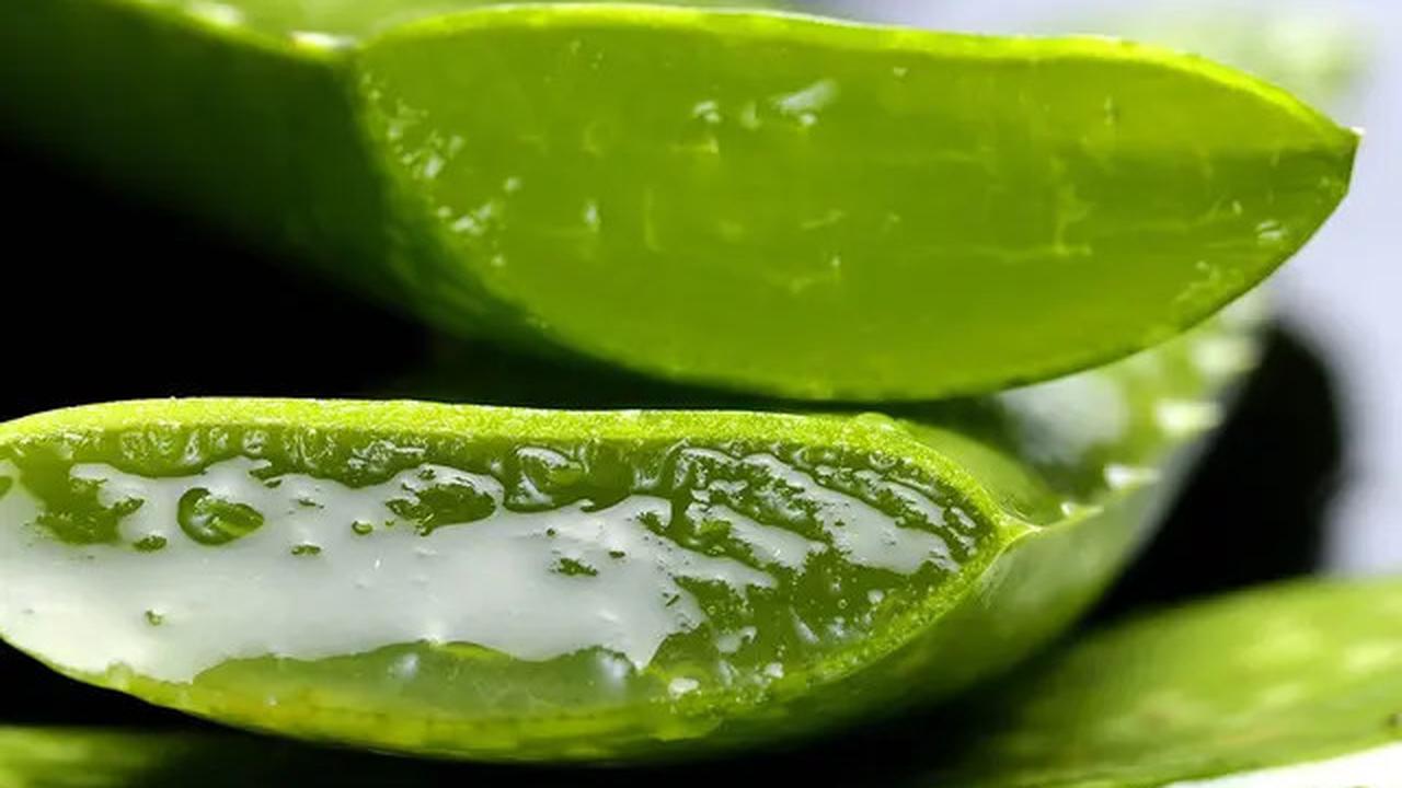 Bukan Bawang Merah! Cegah Uban di Kulit Kepala dengan Minuman Ini