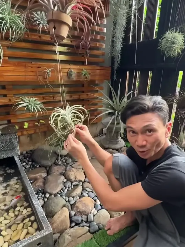Kebun Rumah Anji